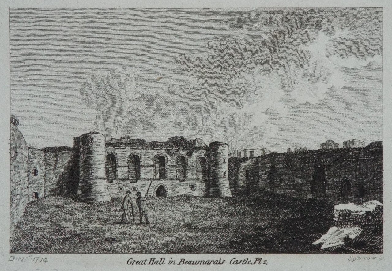 Print - Great Hall in Beaumaris Castle, Pl 2. - 